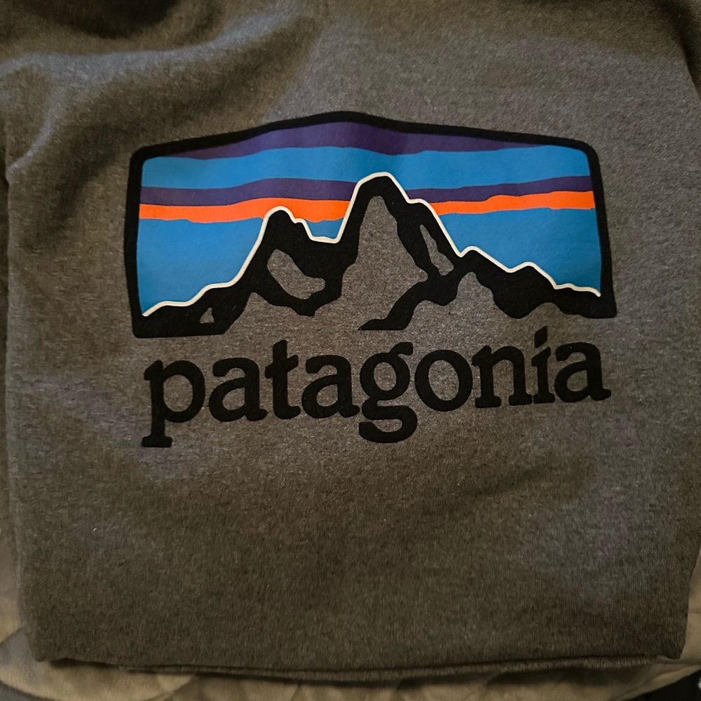 Patagonia hoodie size medium